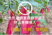 百香果、小黃瓜、茄子等紅色防蟲網套袋-圓周320網孔，13cm寬，超細網孔，大多數昆蟲無法看到紅色，可以避免昆蟲發現和接近包裝的物品，防止果蠅叮咬。