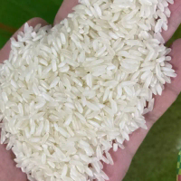 ￼[5kg]Gạo 504 nở, xốp , khô cơm