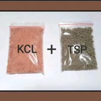 Pupuk KCL plus TSP 200 Gr Mempercepat Pembuahan dan Pembungaan Tanaman Merah Kalium Kristal kclo 3 m