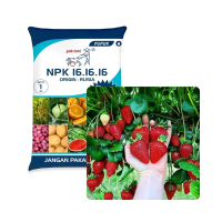 pupuk npk 161616 strawberry