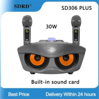 Original SD306 Plus Dual Bluetooth Speaker With 2 Wireless Microphones Outdoor Family KTV Stereo Mic 30W Built-in Sound Card