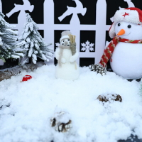 diy圣誕節仿真人造雪粉雪花裝飾水變雪櫥窗婚紗冰雕場景布置道具