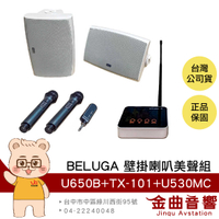 BELUGA 白鯨牌 U650B 無線壁掛音響喇叭 美聲組 U530MC 麥克風 TX101 發射主機 | 金曲音響