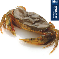 【阿家海鮮】活凍軟殼蟹 600g±10%/盒(6隻/8隻/10隻)-三款可選