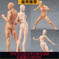 {可刷卡 打統編}SHF素體人體手辦模型美術繪畫參考男女工具擺件figma關節可動人偶