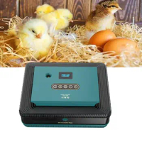 Egg Incubator Automatic Integrated Egg Candler Small Egg Hatcher Machine Humidity Display for Birds Quail Goose Duck Pigeon