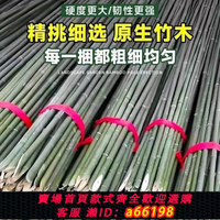 【台灣公司 可開發票】竹竿菜園搭架葡萄架蔬菜爬藤豆角架黃瓜長竹桿籬笆柵欄防腐細竹子