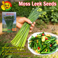 High Yield 400pcs Seeds Moss Leek Seeds for Planting Vegetable Seeds for Gardening Four Season Moss 