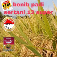 BENIH PADI SERTANI 13 KUALITAS super  Kemasan 1Kg