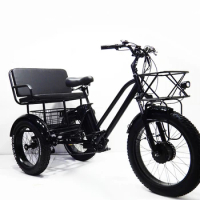 Electric Adult Tricycle Fatbike from China Ebike Max electric tricycle Custom Steel 3 wheel Bicycle for Cargo and passenger