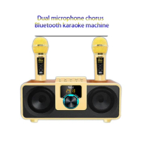 SDRD Karaoke Machine Wood Grain Karaoke Home System with 2 Wireless Microphone Sing 2 MIC Bluetooth Speaker For Adults &amp; Kids