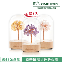 Bonnie House 植享家 能量水晶樹賞香儀(任選3入)