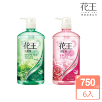 Kao 花王 暢銷洗髮精750ml x6入(清新沁涼/溫和柔潤/兒童專用)