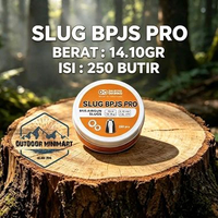 SLUG BPJS PRO 14.10GR OREN