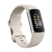 Fitbit Charge 6 智能運動手錶 | 平行進口|.AI精準心率、地圖/錢包支付、ECG心電圖、7天長續航 陶瓷白