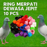 Ring Klip merpati 10 buah ring merpati dewasa