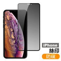 iPhone 11 11Pro 11ProMax 滿版高清防窺玻璃鋼化膜手機保護貼(iPhone 11保護貼11Pro保護貼 11ProMax保護貼)