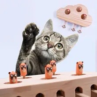 Harga Kotak Mainan Kucing Terbaru November 2021  BigGo Indonesia