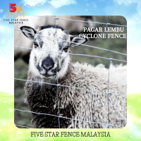 On Sale Cow Fence Cyclone Fence Goat Fence Garden Fence 50 meters Galvanized Five Star Fence Malaysi