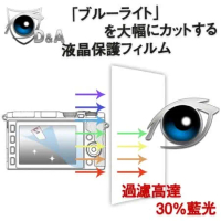 D&amp;A Panasonic Lumix DMC-FZ300 相機專用日本9H抗藍光疏油疏水增豔螢幕貼