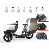 Electric Cargo Bike Trikes Cabine 48V double battery Tricycles fat tire bicycle adult 1000W three wheel electric cargo custom