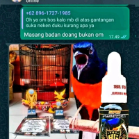 SUPER FIGHTER/SUPLEMEN BURUNG MURAI/RAJA GOYANG/RG/MURAI BATU/MURAI BORDAN/MURAI BURNEO/MURAI/LAMPUN