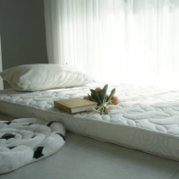 【嘉新名床】６呎QUEEN SIZE銀離子抗菌10cm天然乳膠床(乳膠床墊 薄床墊 雙人床)