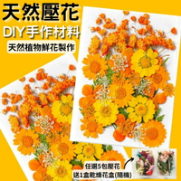 【A-ONE】DIY花藝材料包 銀杏 針葉 DIY押花 壓花書籤 乾花材料包 幼兒園 手工自製 天然壓花