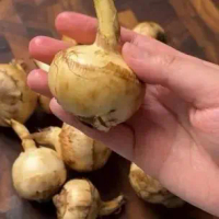 300g arrow head sprout buah  sengkuang cina muda