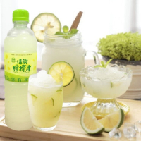 清涼消暑聖品 佳興檸檬汁3瓶(600ml/瓶)+綠園青芒果冰2包(500g/包)