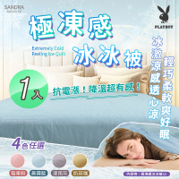 Sandra仙朵拉 PLAYBOY 極凍感冰冰被x1入(150x200cm/涼被/涼感被/薄被/四季被)