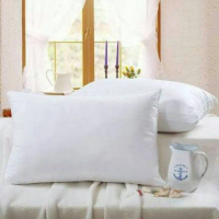 Bantal Guling Tidur Kepala Cassandra Set Hotel Bintang Silikon 100%