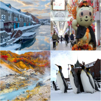 【吉航旅遊】精緻假期北海道札幌雪祭小樽運河尼克斯海洋公園函館山纜車三大蟹溫泉五日-長榮航空