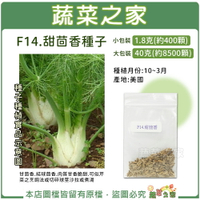 【蔬菜之家】F14.甜茴香種子(甘茴香.結球茴香)(共有2種包裝可選)