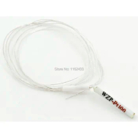 FTARP05 PT100 3*30mm high accuracy ceram polish rod probe head 0.5m silver plated copper cable RTD temperature sensor