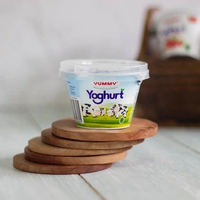 Yummy Yoghurt Plain 80 gram