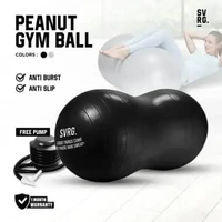 Gym Ball Premium SVRG. Free Foot Pump 65CM Frosted Black