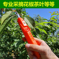 摘花椒神器采摘草莓枸杞葡萄豆角辣椒剪家用花剪園藝剪刀修枝剪子 領券更優惠