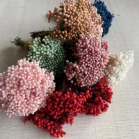 5~15CM/12PCS Natural Dried Preserved Millet Flower,Dry Tiny Ozothamnus Diosmifolius Flowers DIY For Candle Making Supplies,Resin