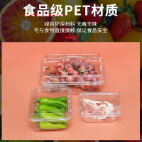 一次性水果盒塑料便當盒帶蓋裝草莓打包盒包裝盒子果蔬食品保鮮盒