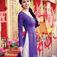 aodai vietnam clothing cheongsam aodai vietnam dress vietnamese traditionally dress cheongsam modern women aodai ao-dai purple
