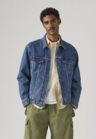 Levi's Levi's® Men's Relaxed Type 3 Trucker Jacket A5782-0104