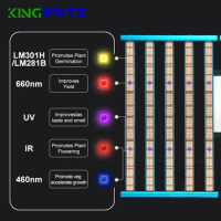 3800PCS Diodes 2023 Best KingBrite 1000W 10 Bars LM301H/LM281B+660nm+UV IR +Blue 460NM KingBright LED Grow Light Qauntum Bar