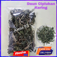 Daun Ciplukan Kering Premium 100 Herbal gr Organik