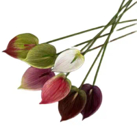One Faux Single Stem Anthurium Flower 28" Length Simulation Real Touch Calla for Wedding Centerpieces Floral Decoration