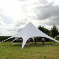 Large Spider Star Tent, Outdoor Party Tent, Exhibition Gazebo