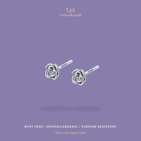 Cindersella in gold – Belle Rose Earrings S925 Sterling Silver Gold Plated Jewelry With Luxury Packa