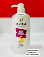 Pantene Shampoo Hairfall Control Anti Rontok 400mL