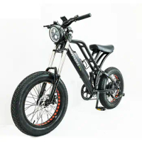 Full suspension retro mountain Off-road fat tire 750W 1000W 2000W electric bike Pedal assist motorcycle