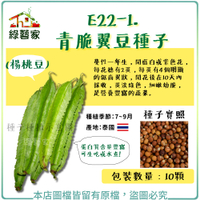 【綠藝家】E22-1.青脆翼豆種子10顆